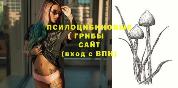 гидра Волоколамск