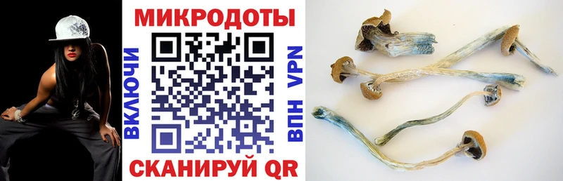 Псилоцибиновые грибы GOLDEN TEACHER  как найти наркотики  Ноябрьск 